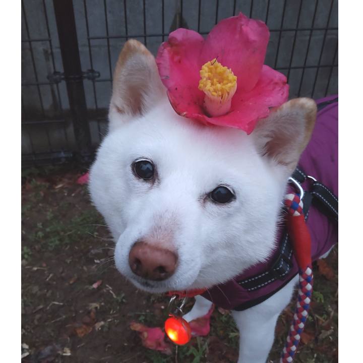 D481651d 7573 49a2 9620 b887e5d4137f 1647681207560