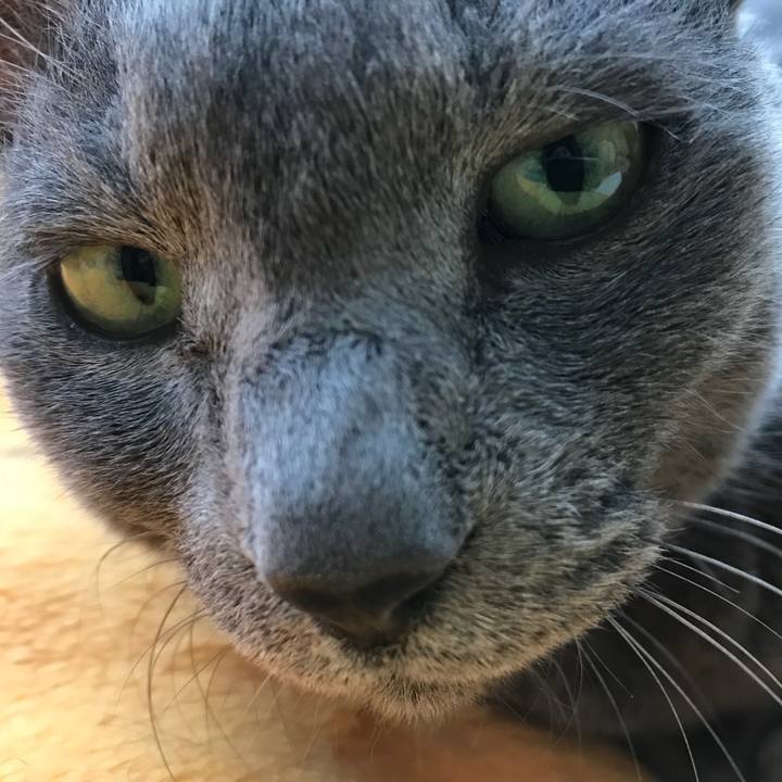 D4817ef5 2188 42b8 b008 404a10b1d6e4 1514617205688