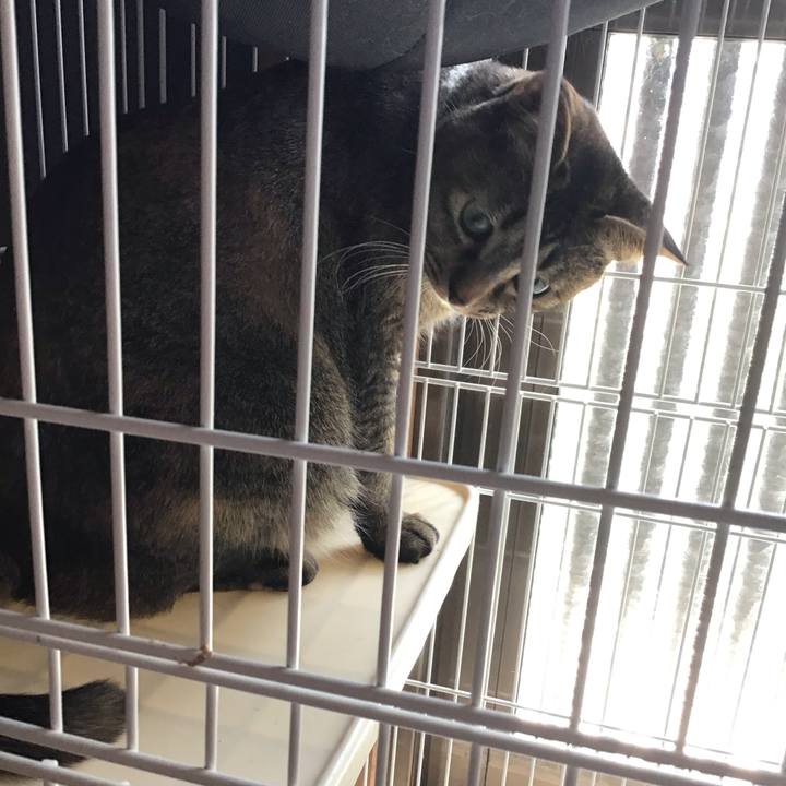 D4818338 e3dc 48e1 adcd ff97f352d259 1649576478478