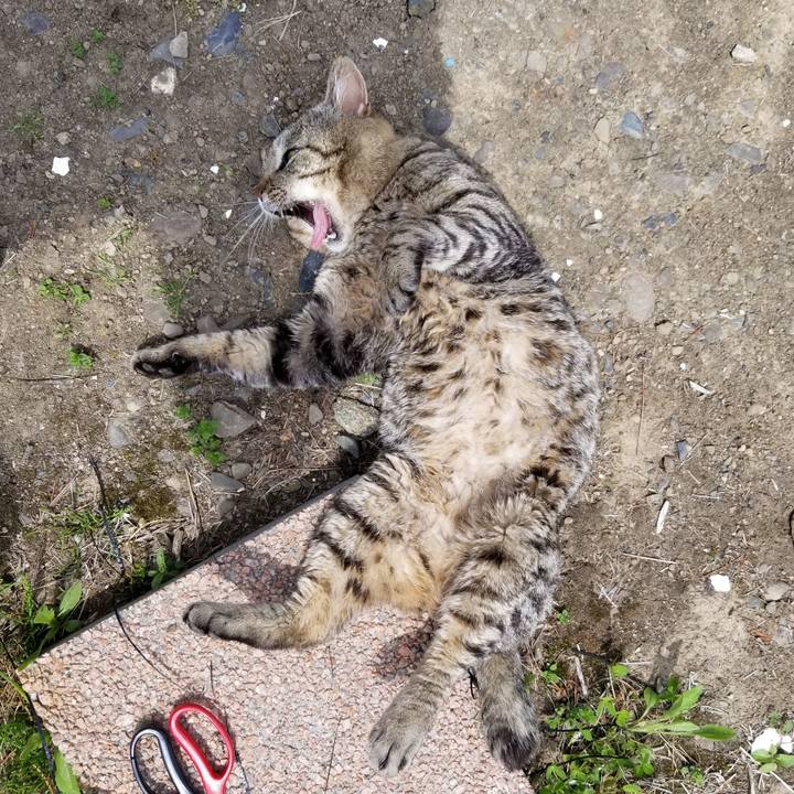 D481a834 790f 4d4c ac44 6aeec1a64dd9 1621469880887