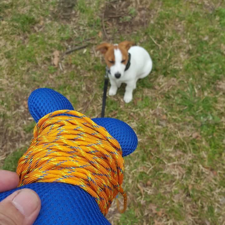 D481e81b 2c98 425c 8b8d bfbb321a44aa 1552715151302