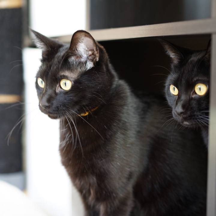 D481e983 e721 45a3 8ce6 ebdb74d3a2b8 1548483930983