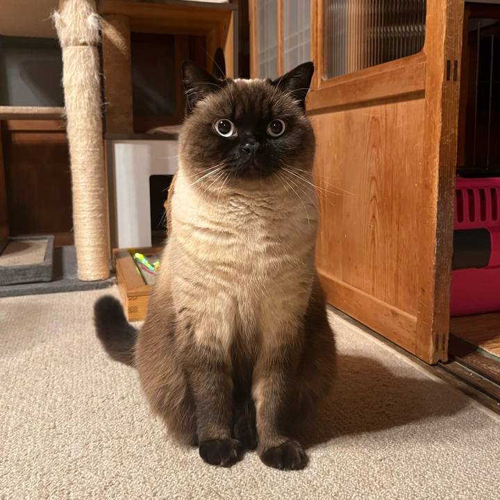 D4820bbf 1aa6 4d82 8eae fa064e9dd24b 1647060991765