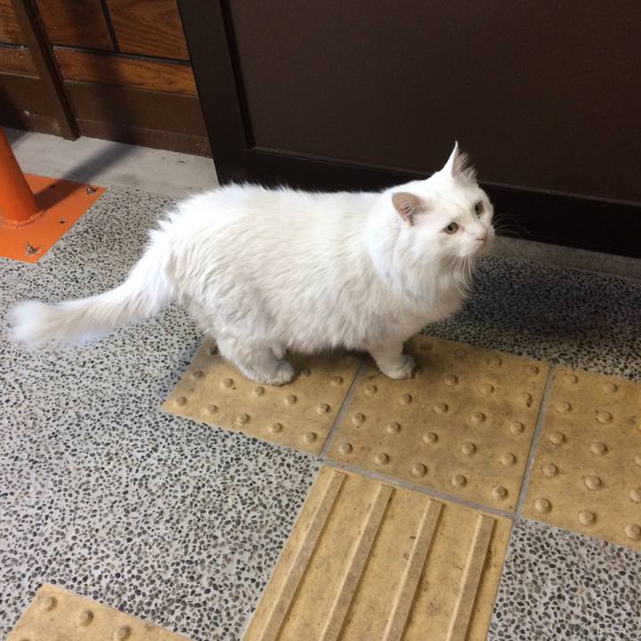 D4829968 62af 4dbb b76a a679640a512d 1513549477236