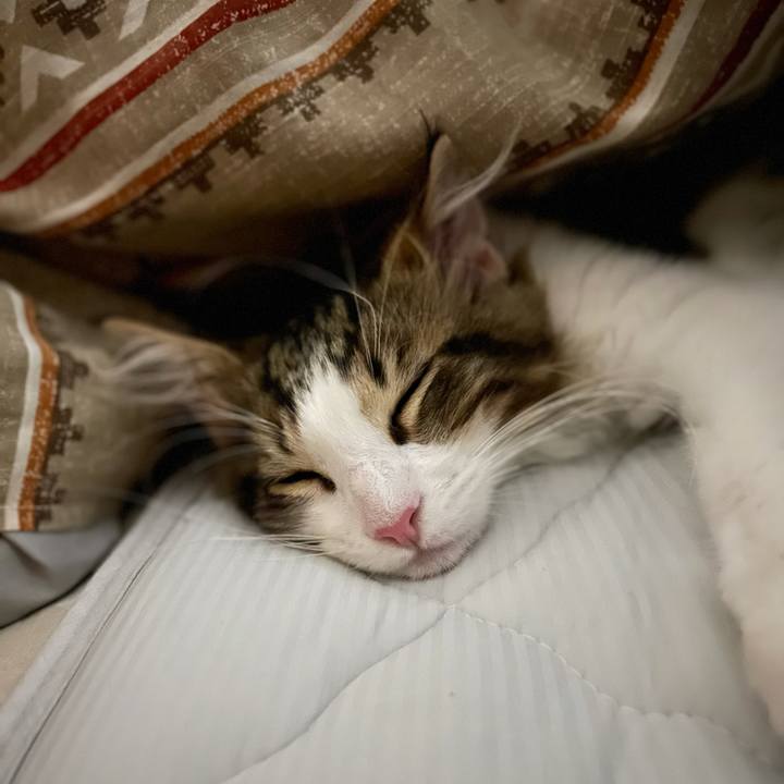 D4829af6 b5cc 4908 9e72 b4b57545fa43 1634218216914