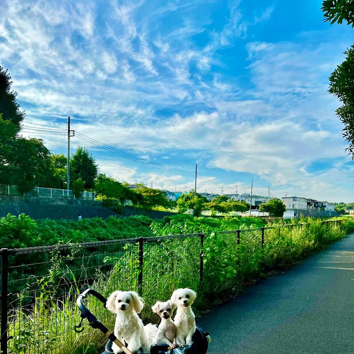 D4829bed 4fd7 42a7 8ed0 3c557ad0b11e 1658651415301