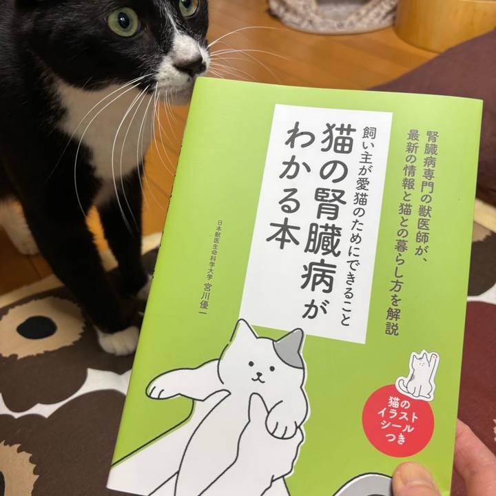 D4830133 d1aa 4ca6 ac35 0603a098c672 1773906338242