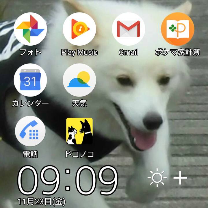 D4830361 be1c 4fa7 b0f1 6db6c4b42d3b 1542932022865