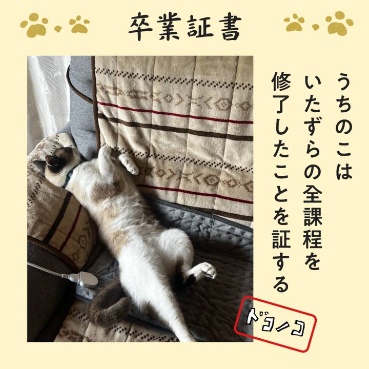 D4831269 def3 405c ad63 20d700ab1713 1771974926954