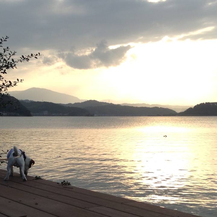 D4831fce 9cff 4eab 986b 470a4e8df041 1508833846299