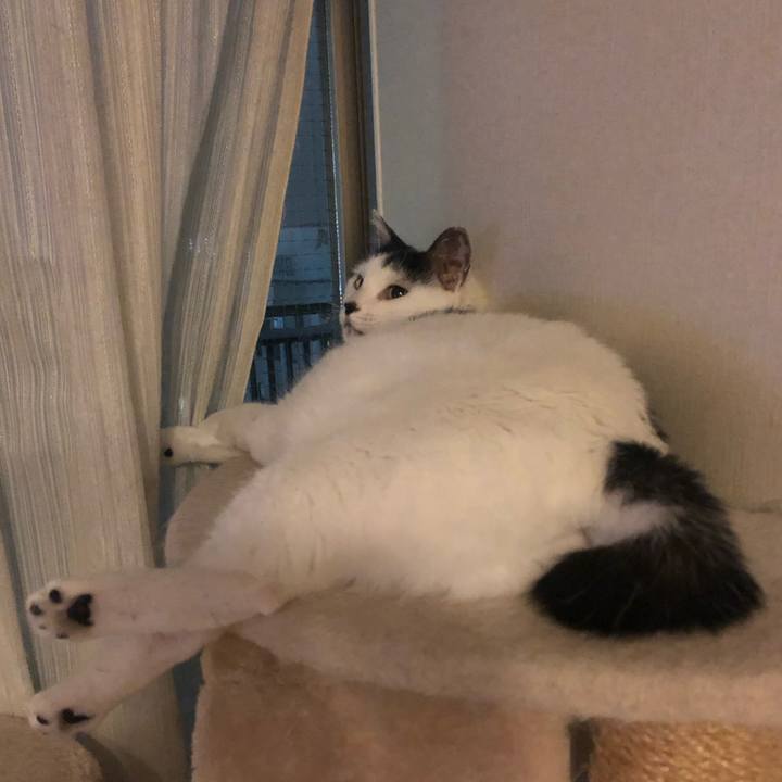 D483216b 9288 4f4c b8b3 dba3f5d257f5 1570799717134