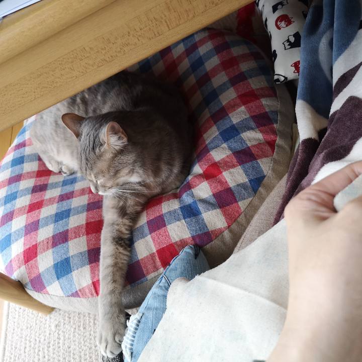 D48379de 0b4b 4b18 a068 1b592f11193f 1556757549764