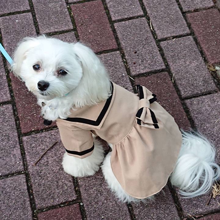 D4837a16 921c 4242 bcc3 dfedb8a9eee7 1601610500422