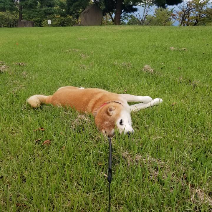 D4837d3a f906 41be b0c4 1c9c377d6fda 1726302851039