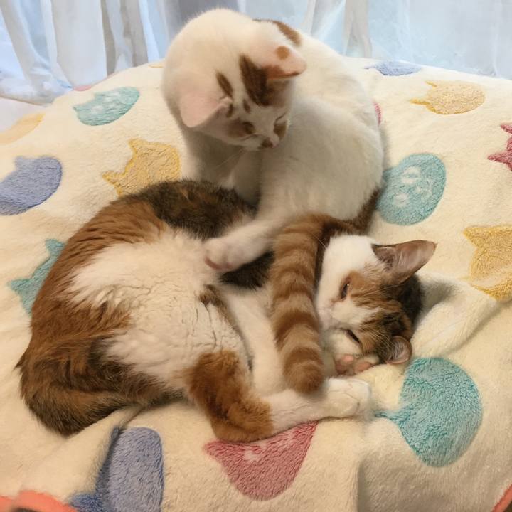 D4838b77 4158 474e bf3a c522122d4070 1577765228890