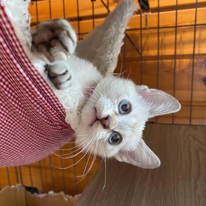 D483fe69 f5e0 4527 9894 ed4e91c116a2 1747098163002