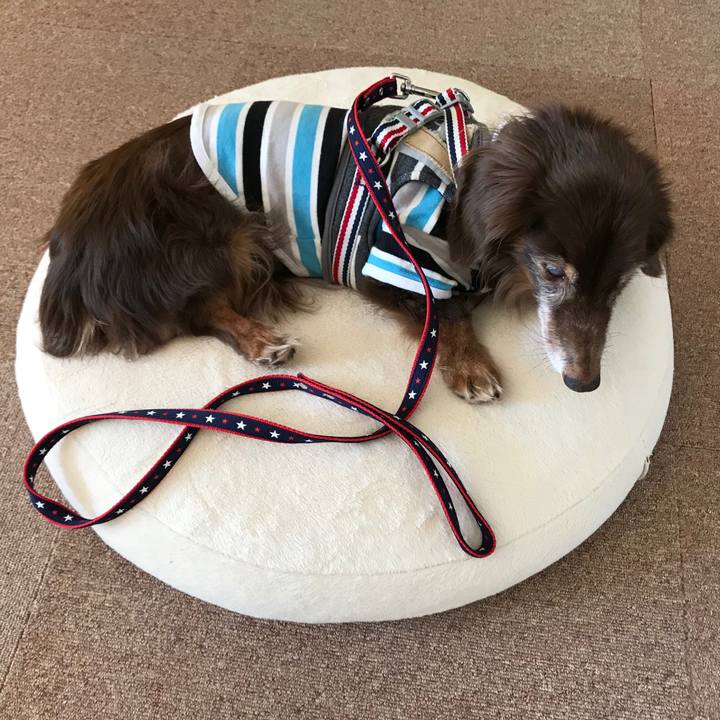 D48403a9 3cf7 4806 a9b3 712b8a8cffb6 1578278577828