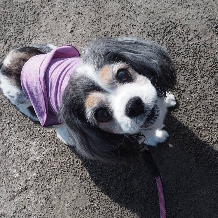 D48480cb 2aa9 46ea a151 d630a84fe5d4 1572155877416