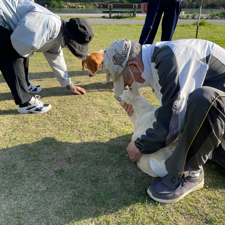 D4849242 fd78 4ef7 875b da0e784c3013 1681037014158