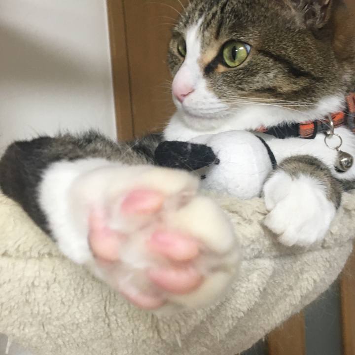 D484cda5 83d1 43cf b690 cd3382845a65 1707479025928