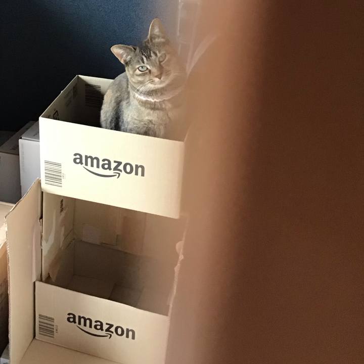 D484dd1b 8dab 466e 94bc dff5bd44d1b8 1616650422578