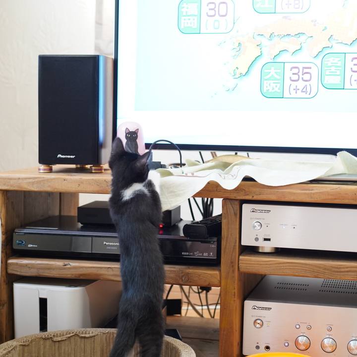 D484deb6 67e2 403b 9df6 00cf76e96176 1567819358303