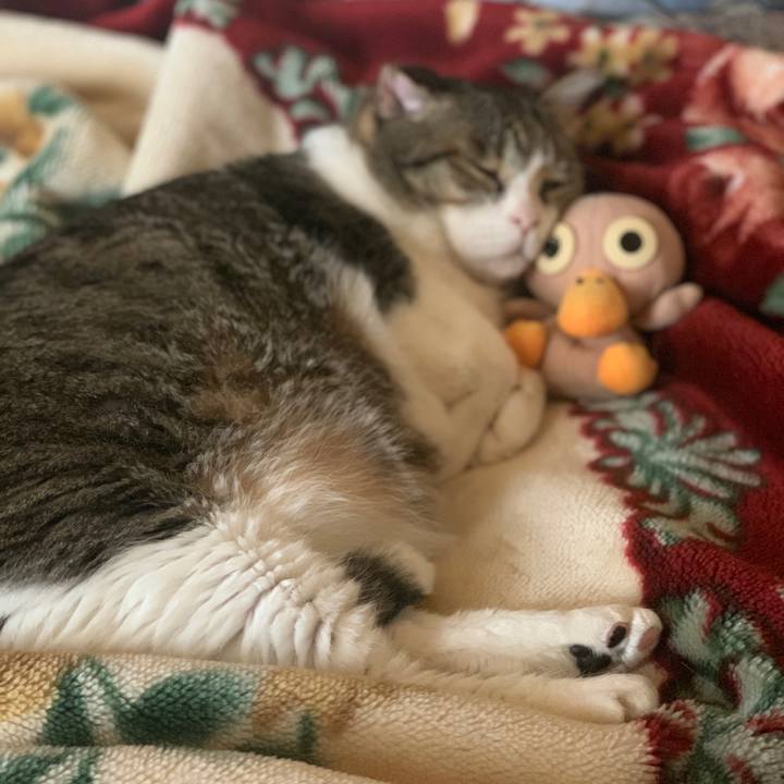 D484ee7c 6b80 4369 bdc7 152265a0bfb7 1684584731228