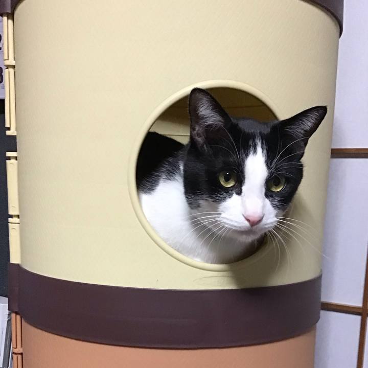 D48515d7 4ece 46f0 a5e9 8977ca87333a 1736328094385