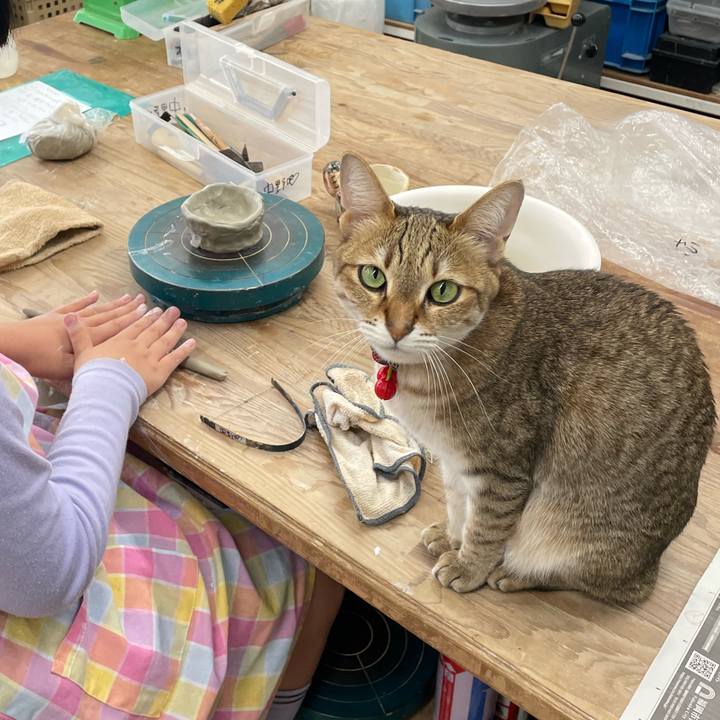 D48521e6 80c6 4f94 a269 1dd4466d9e2e 1716178548928