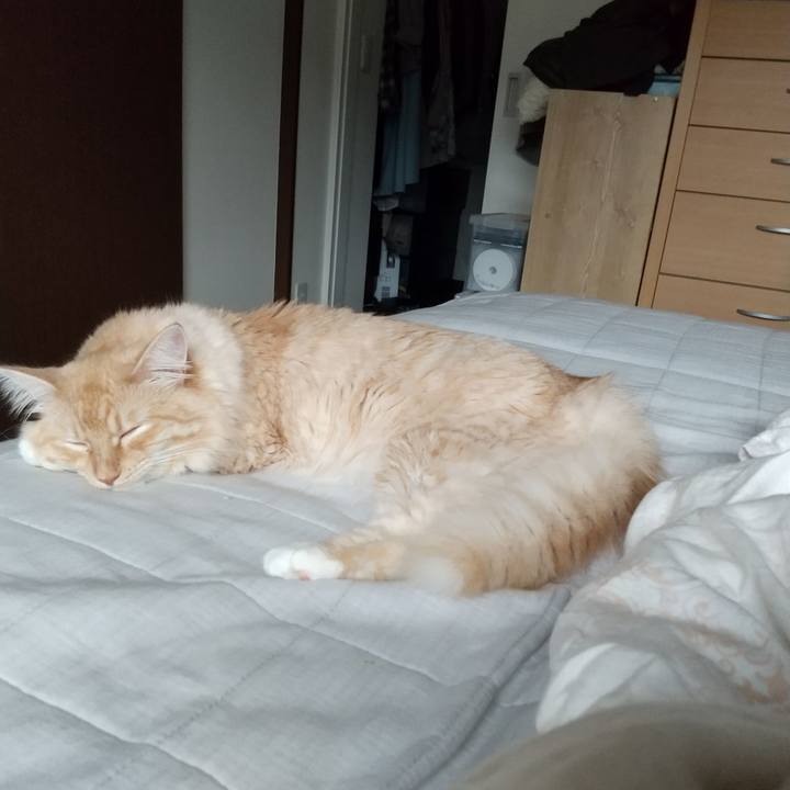 D48567c3 7951 46d2 9990 74cfab17b272 1629850145127