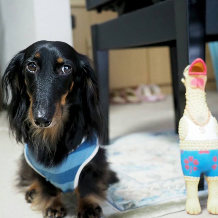 D485787d 9284 4b99 bb13 e742829e292e 1531536889811