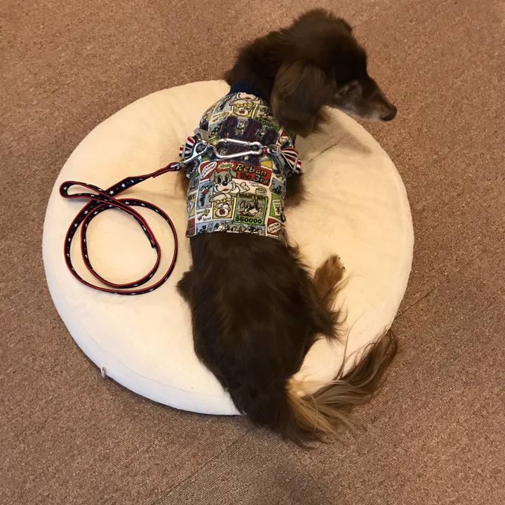 D4857969 d67f 483a a1af 97b15460e54b 1523436461217