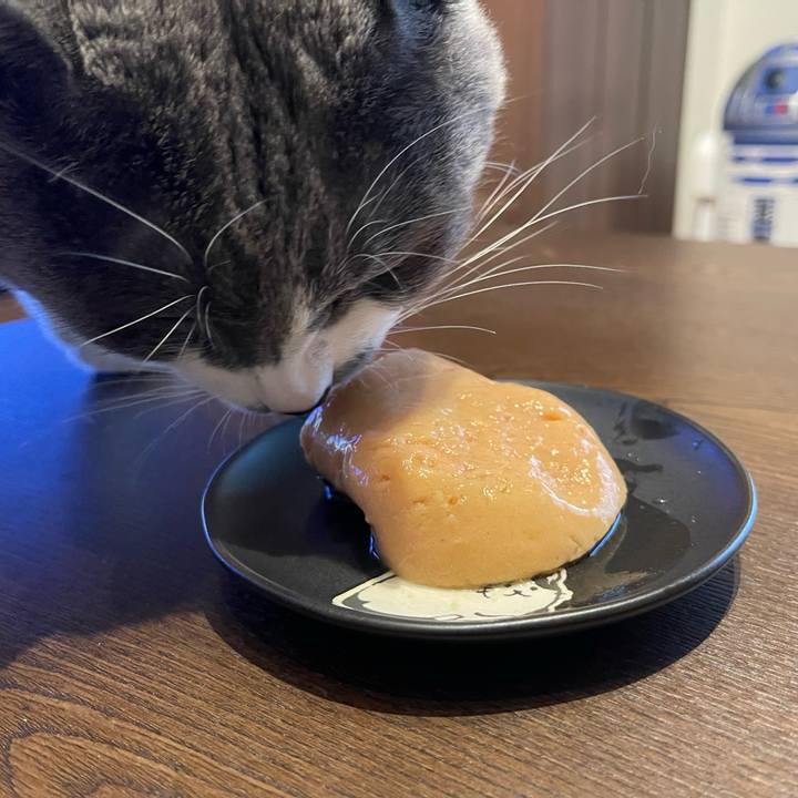 D485a210 6436 4292 a78d def4e790d335 1671606310131