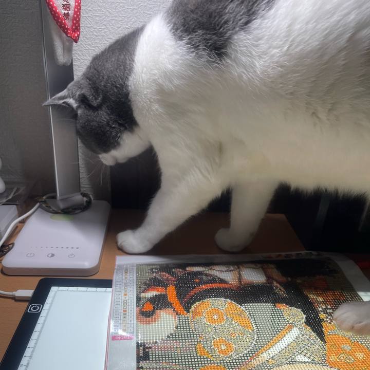 D485f417 eb78 48c6 be4c 1316e332aa7a 1723271056798