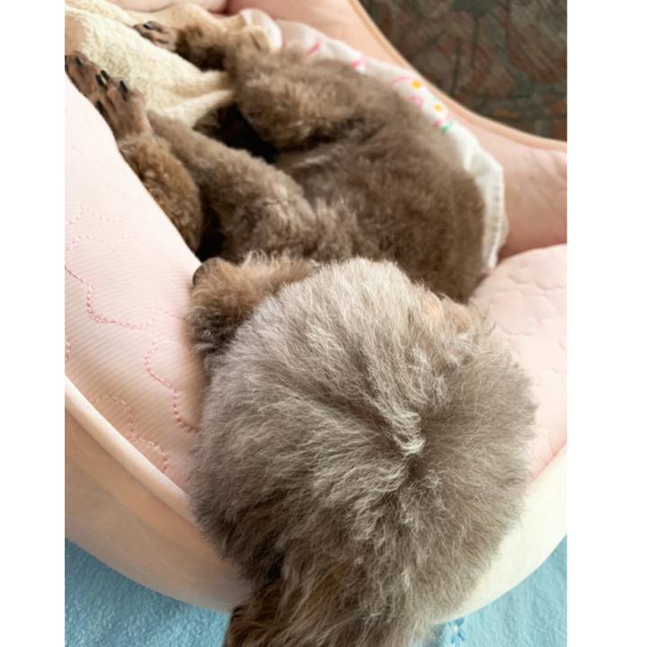 D4860cd8 a2ca 48e7 a859 b89f12564677 1651130498271