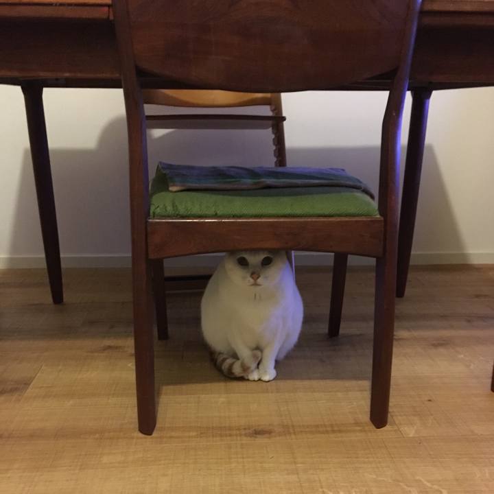 D48616e0 df8a 4105 8b41 0fc9b49cfd56 1547523447566