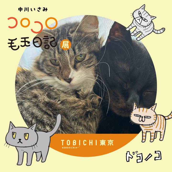 D48642e8 3bf6 46eb bd2d d29483b3a366 1740189772574