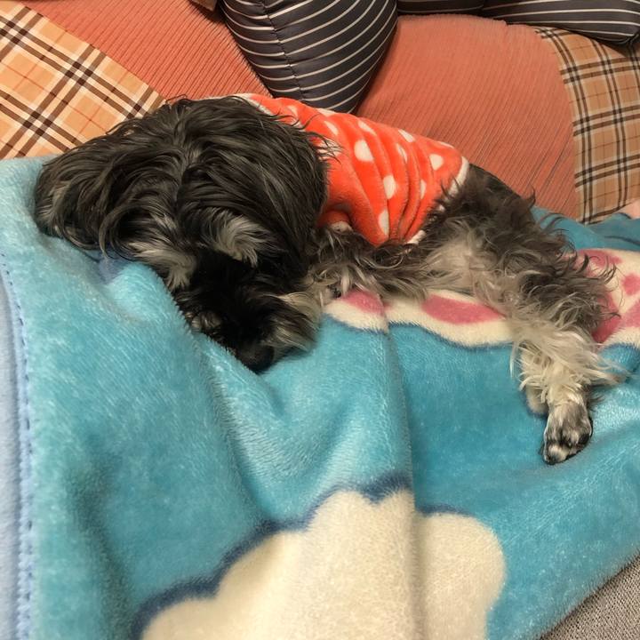 D486c04e ce5e 4569 9bee d2c3db882b40 1702825364626