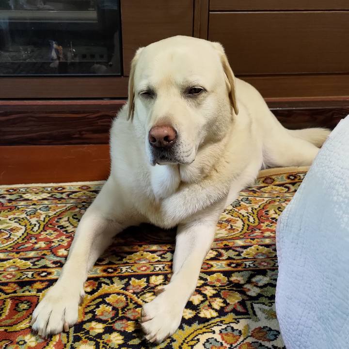 D486f858 3ed4 479d 80d4 6920d55e3342 1693023720709