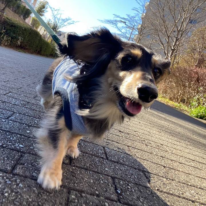 D487242b 43f2 4d9b 8384 21e3f5ba15a3 1768203763442