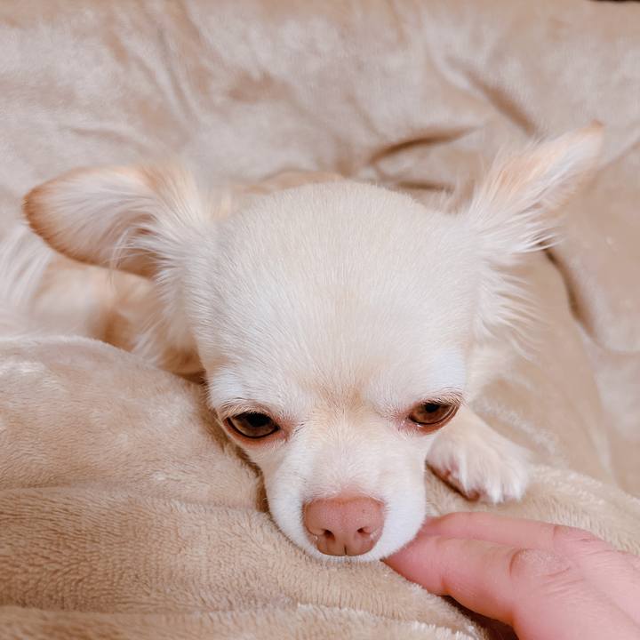 D48795a0 9b45 4c6a 8579 729958404fa6 1675744846773