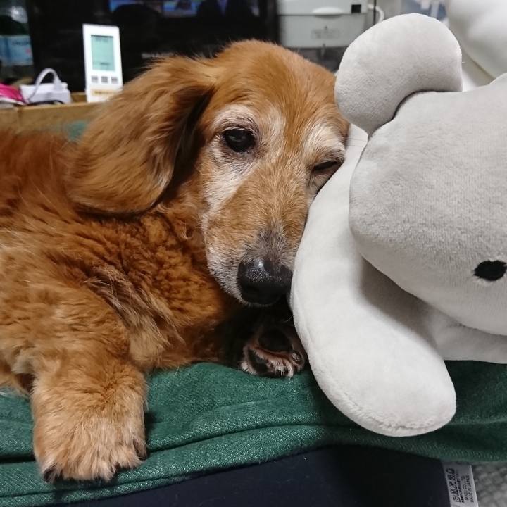 D487993e d882 4437 b204 5b5eff831c46 1651943309193