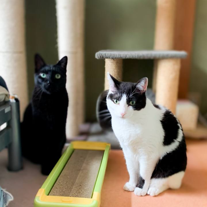 D487aeaf f59b 440f a179 6fb11f890f4b 1594781140250