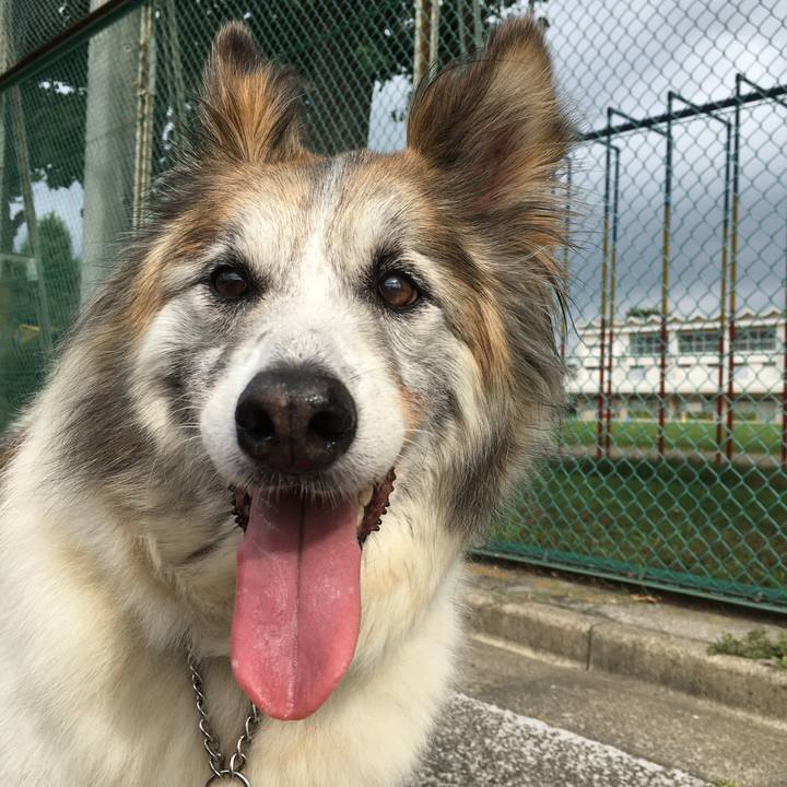 D487dc4d f175 4a66 9ea9 7bfce812b45a 1569888370367