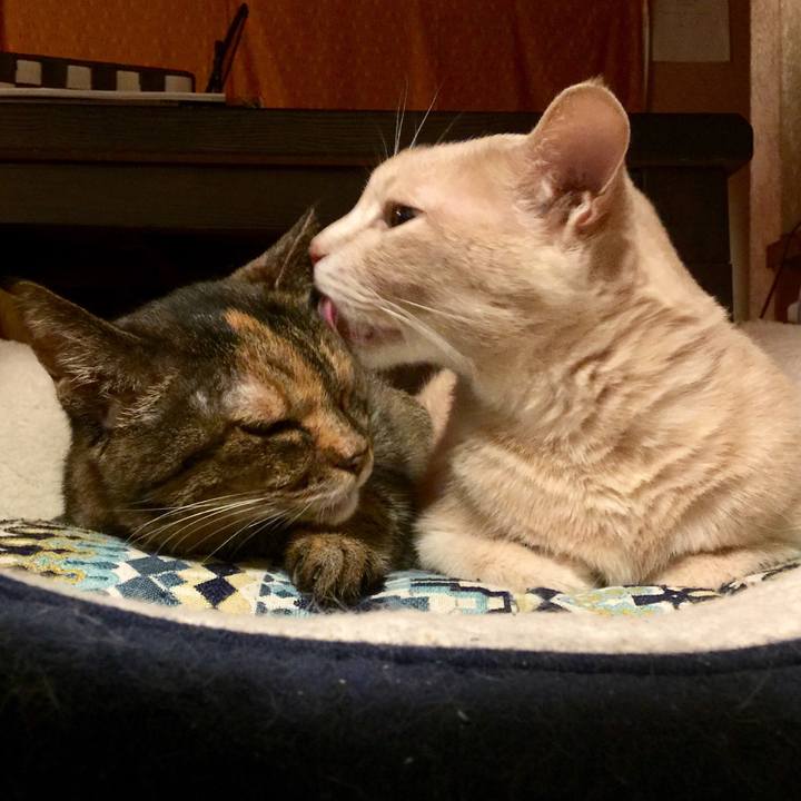 D487fb19 f00e 4420 ada5 810392a48d91 1594907383723