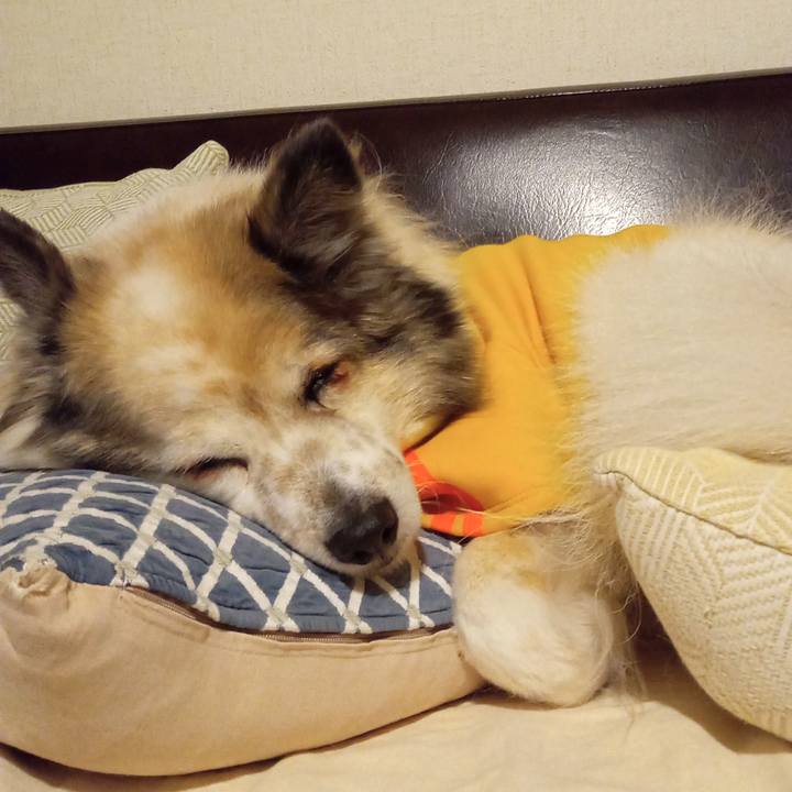 D48808d7 0159 44f5 a482 e0ec085fdae9 1674126515059