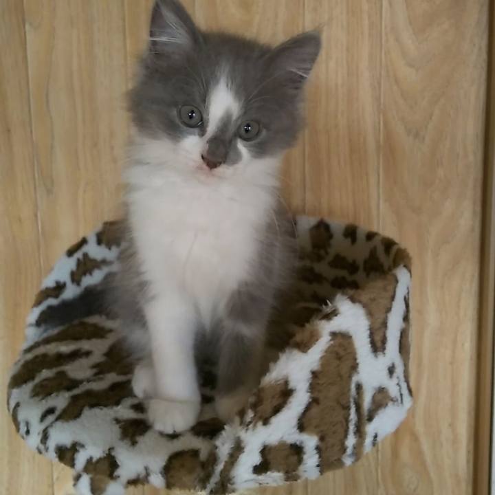 D4881569 06a5 47ed b73e 1afc9f128636 1561605837934