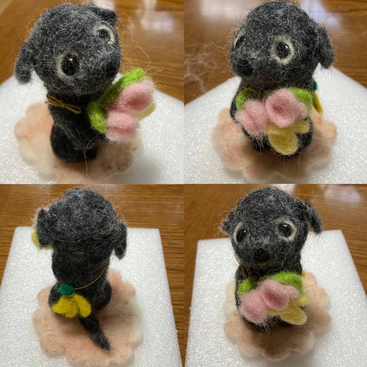 D4882787 a67f 4eb6 bcde e04b76dc60d1 1723425715963