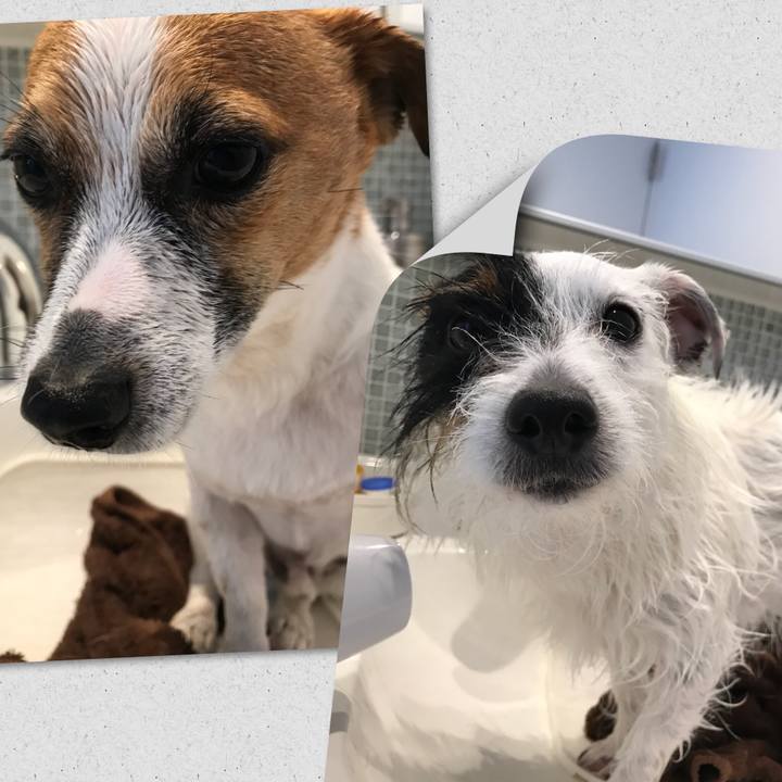 D48828bd 0400 4ecb 9a44 9e081727fc00 1520316948708