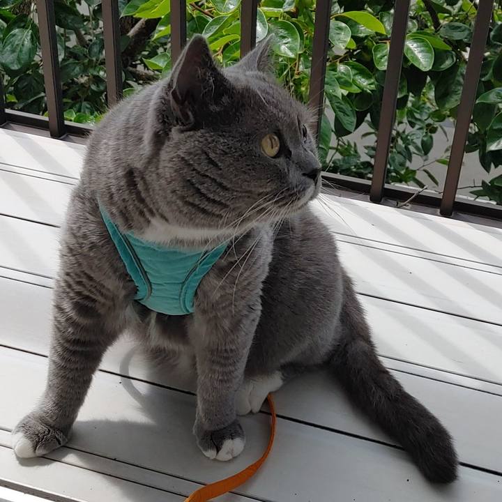 D4883b0c 1a66 46c3 91b9 8f79d3bc6a9e 1654995154812